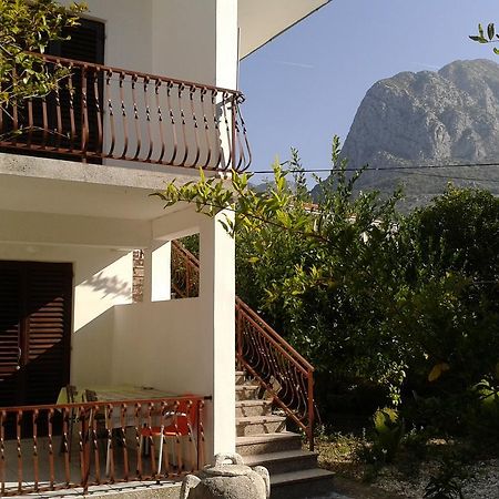 Apartments Tamaris زاووستروج المظهر الخارجي الصورة