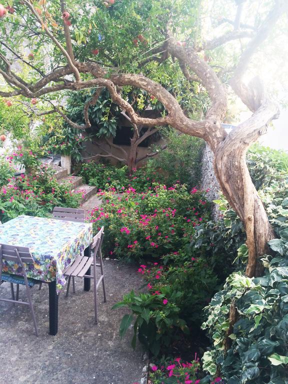 Apartments Tamaris زاووستروج المظهر الخارجي الصورة